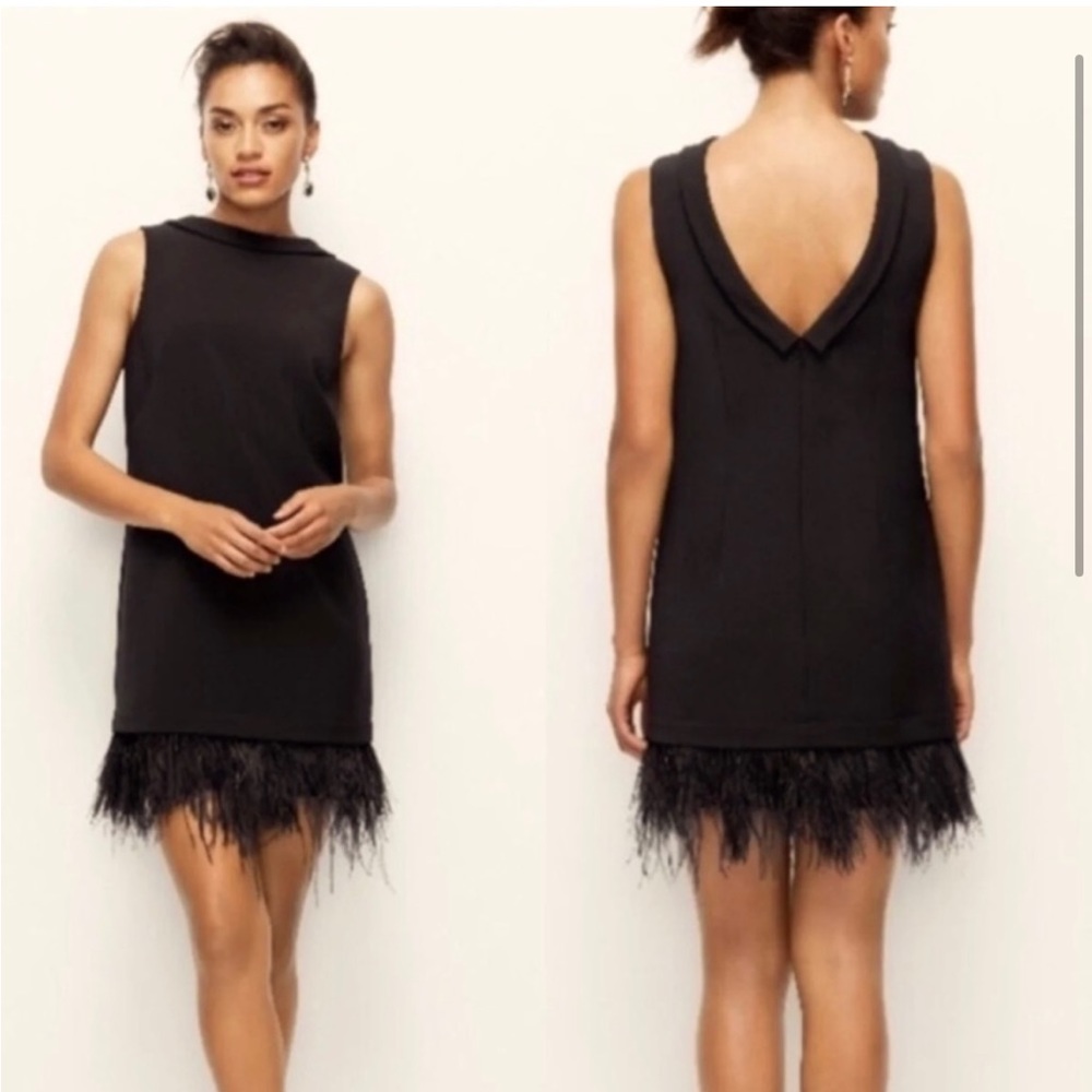 Ann Taylor Black Dress with Feather Trim